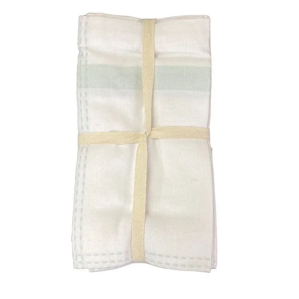 NWT Linden Street Ainsley Plaid White and Green Set of 4 Napkins 100% Cotton 20x
